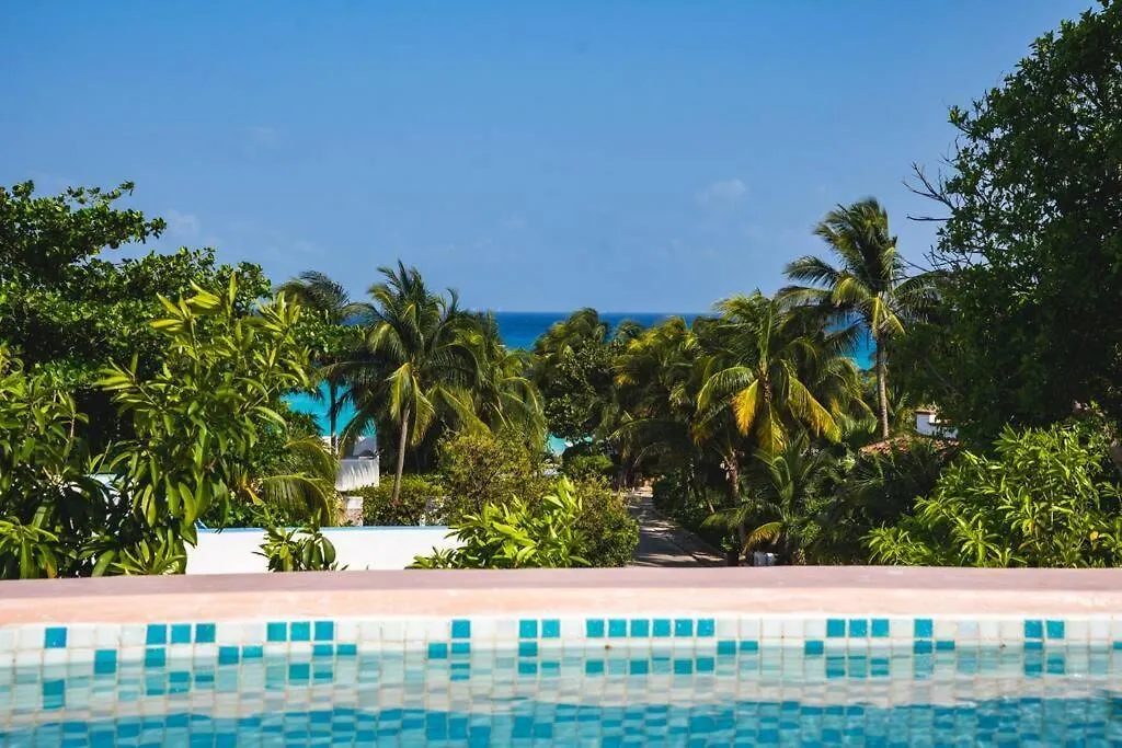 Apartment Lujoso Apartamento Playacar F1 A Metros Del Mar Playa del Carmen Mexico